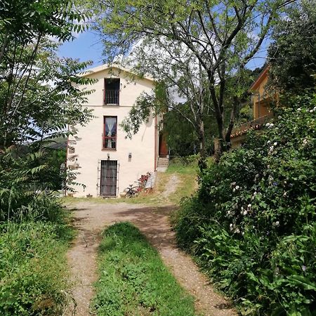 Stellaria Casa Vacanze In Montagna Panorama Stupendo Sardegna Seùlo Εξωτερικό φωτογραφία
