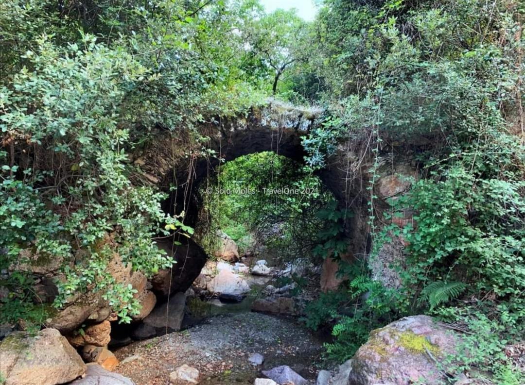 Stellaria Casa Vacanze In Montagna Panorama Stupendo Sardegna Seùlo Εξωτερικό φωτογραφία