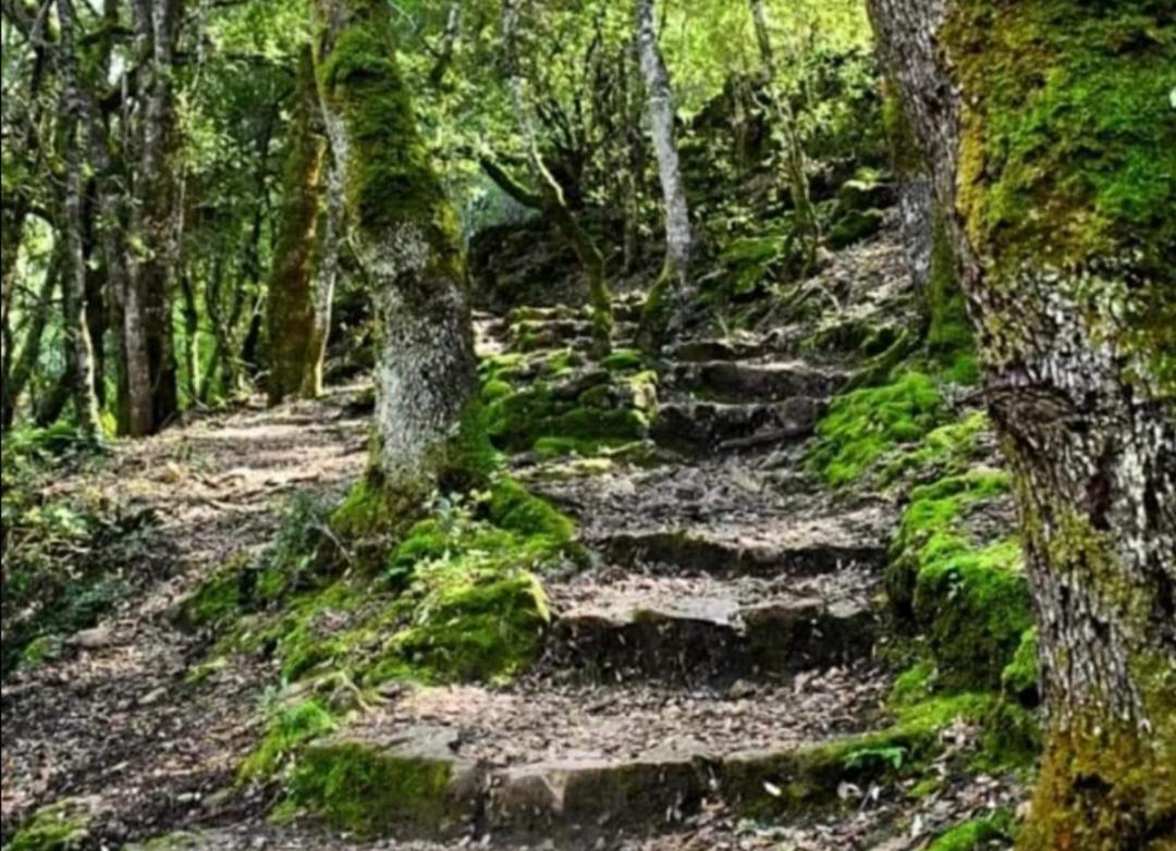 Stellaria Casa Vacanze In Montagna Panorama Stupendo Sardegna Seùlo Εξωτερικό φωτογραφία