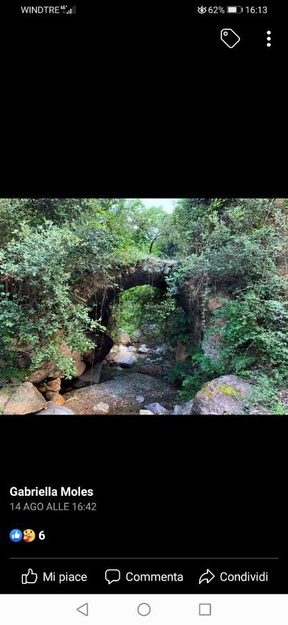 Stellaria Casa Vacanze In Montagna Panorama Stupendo Sardegna Seùlo Εξωτερικό φωτογραφία