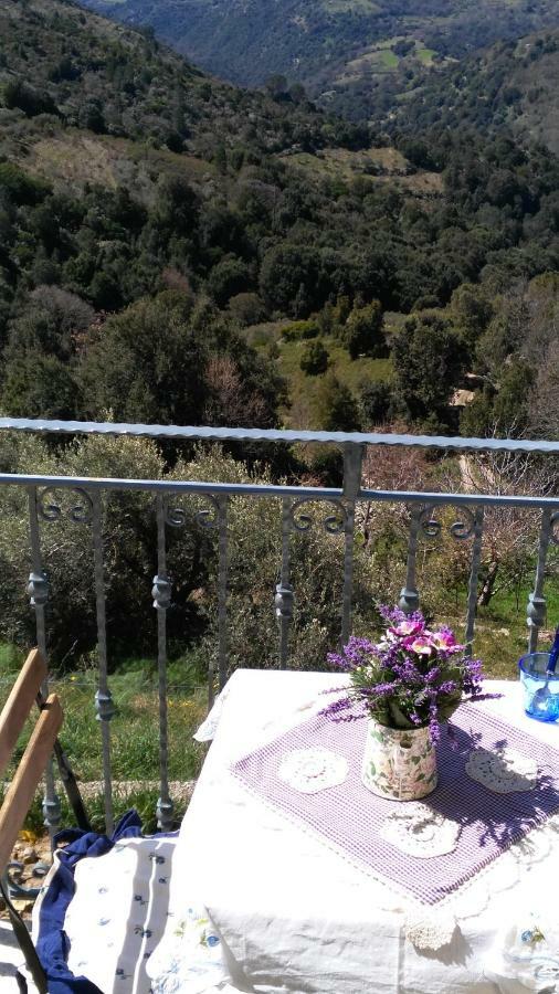 Stellaria Casa Vacanze In Montagna Panorama Stupendo Sardegna Seùlo Εξωτερικό φωτογραφία