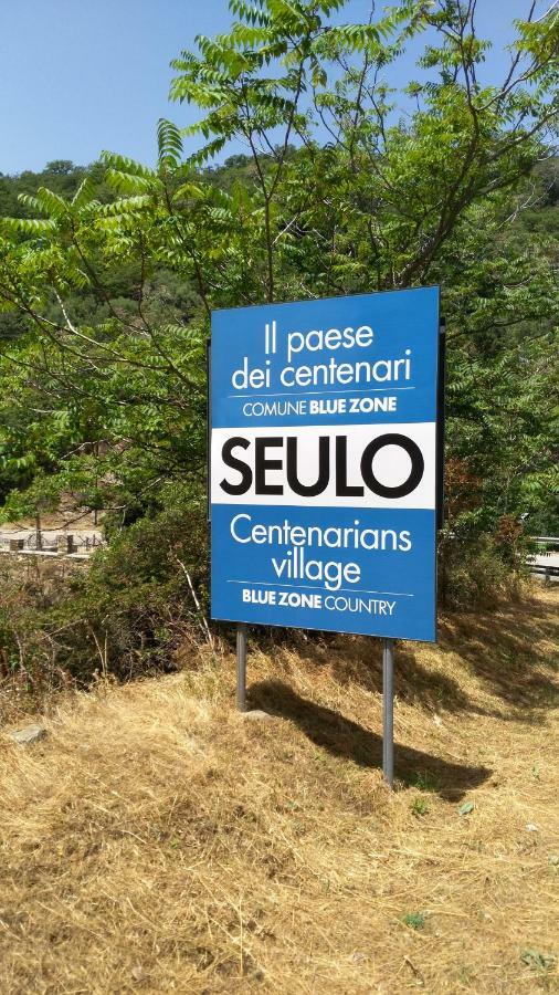 Stellaria Casa Vacanze In Montagna Panorama Stupendo Sardegna Seùlo Εξωτερικό φωτογραφία