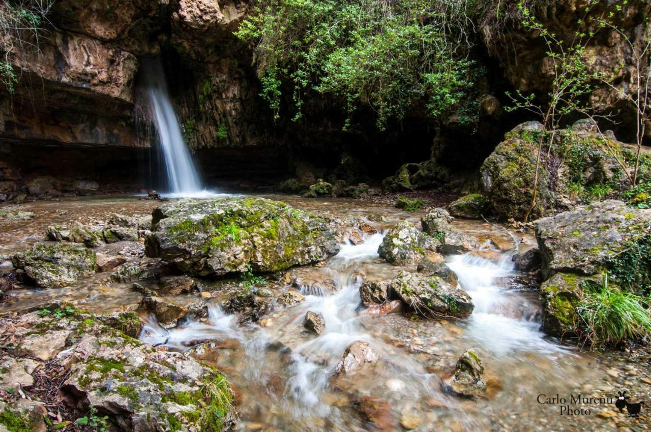 Stellaria Casa Vacanze In Montagna Panorama Stupendo Sardegna Seùlo Εξωτερικό φωτογραφία