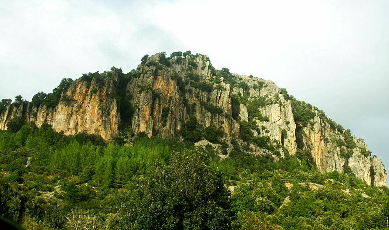 Stellaria Casa Vacanze In Montagna Panorama Stupendo Sardegna Seùlo Εξωτερικό φωτογραφία